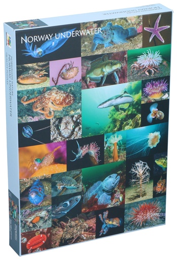 [707261100398] Puzzle Norway Underwater 1000 Pieces